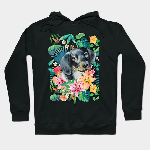 Tropical Black Tan Dachshund Doxie 1 Hoodie by LulululuPainting